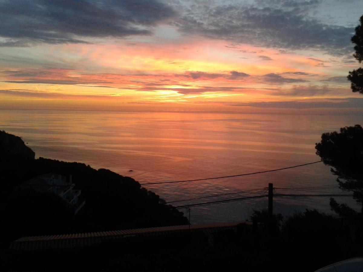 "La Terrasse De La Mer 1" -Climatisation-Wifi-Bbq -Piscine-Parking Begur Eksteriør bilde