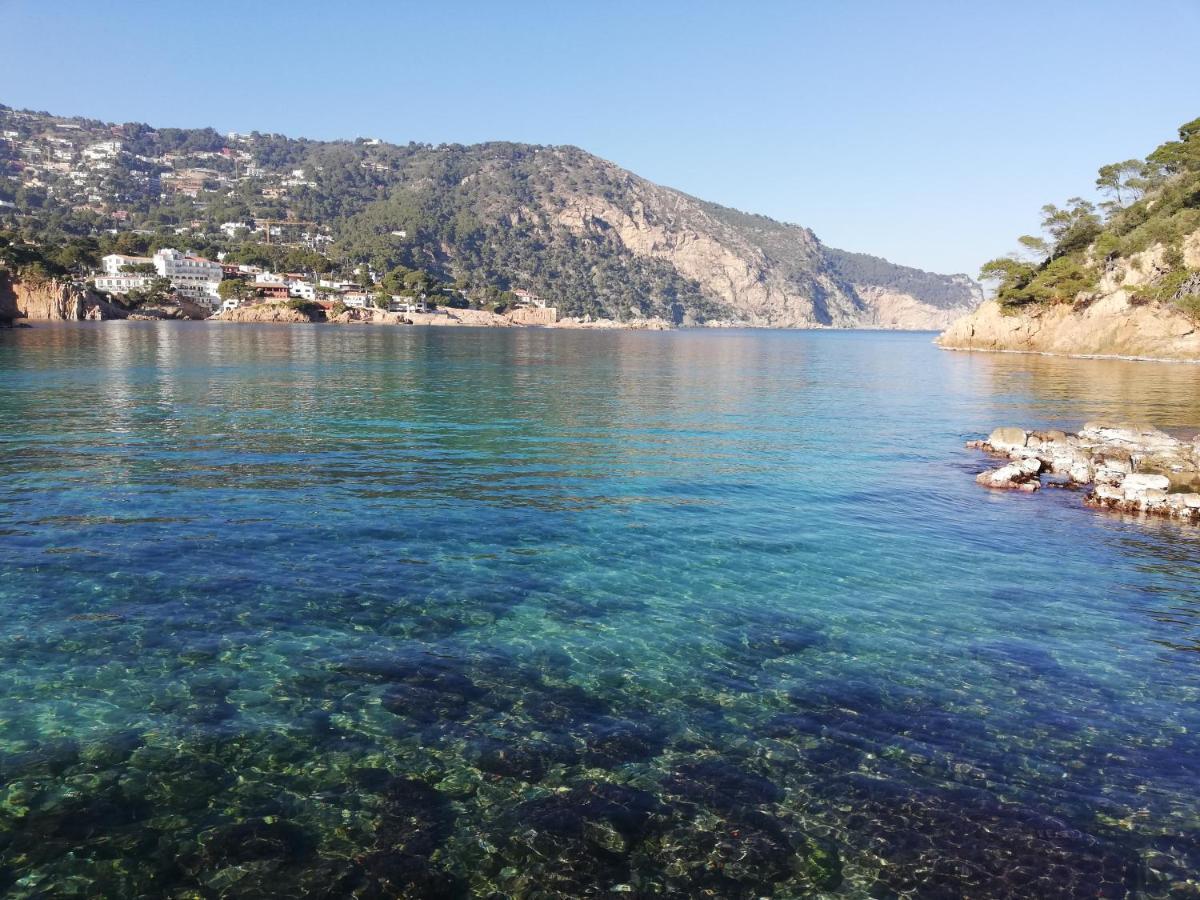 "La Terrasse De La Mer 1" -Climatisation-Wifi-Bbq -Piscine-Parking Begur Eksteriør bilde